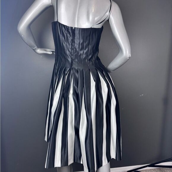 ‼️SALE‼️ BCBG MaxAzria Black/White Pleated Dress - Picture 6 of 8